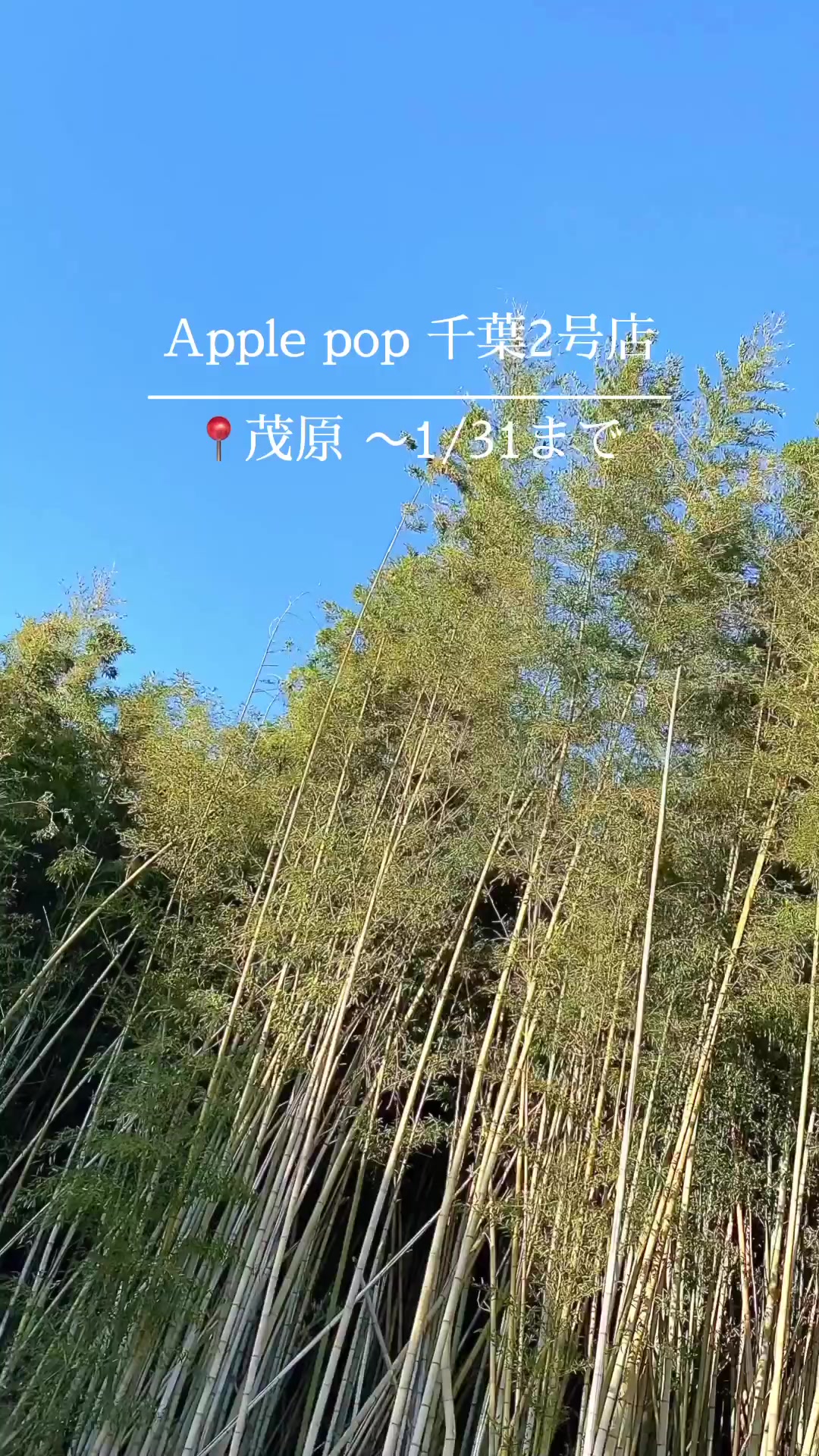 ドン・キホーテ 茂原店