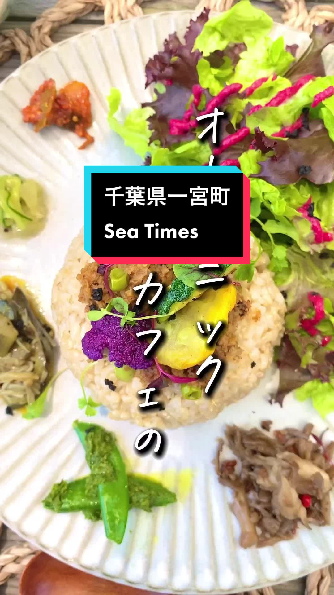 SEATIMES Shokuiku & Healthy lab.
