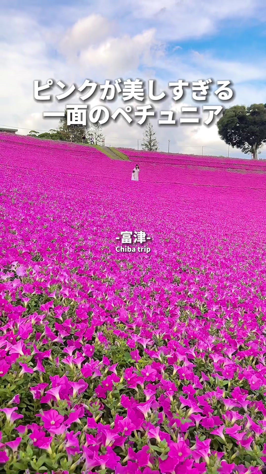 マザー牧場