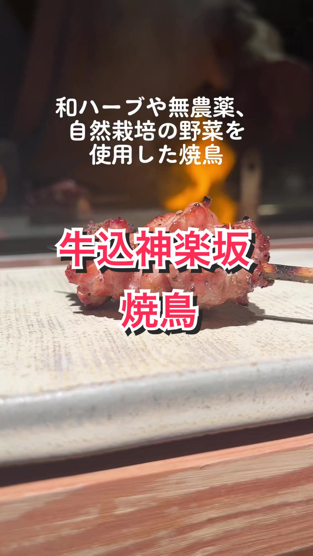 牛込神楽坂 鳥光(TORIMITSU)