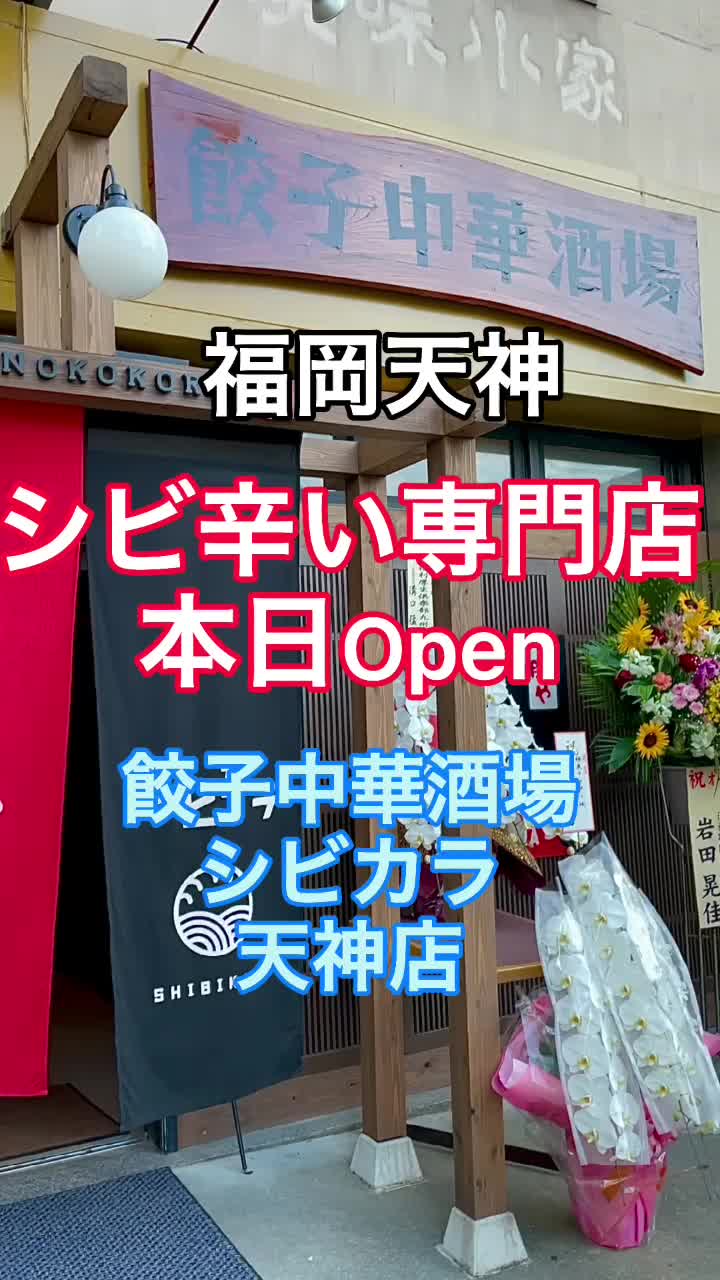 餃子中華酒場 シビカラ 天神店