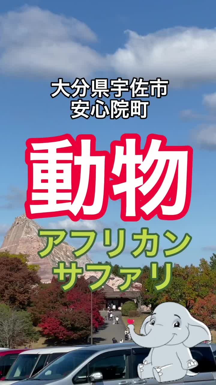 九州自然動物公園 アフリカンサファリ