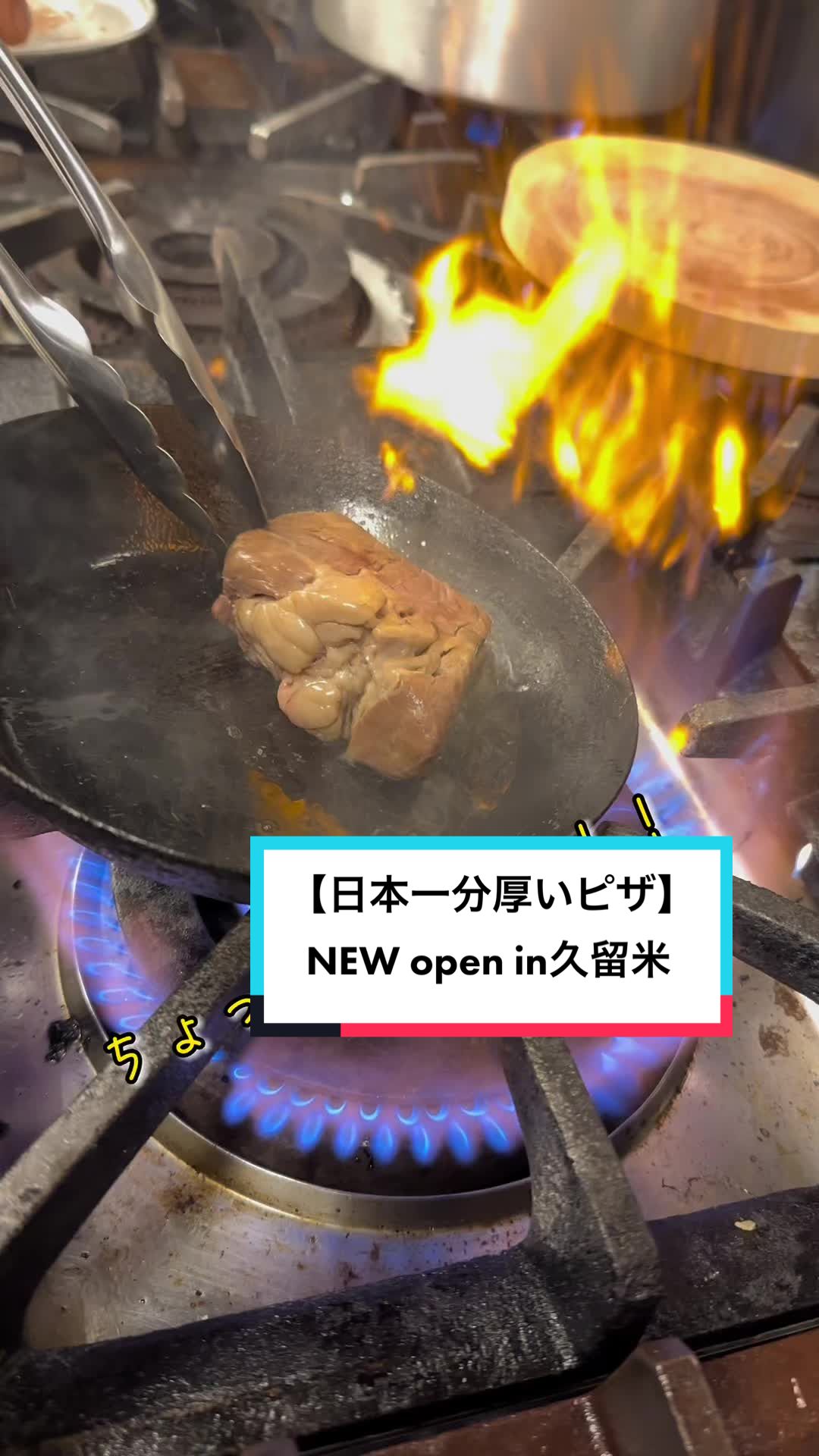 オステリアロトス