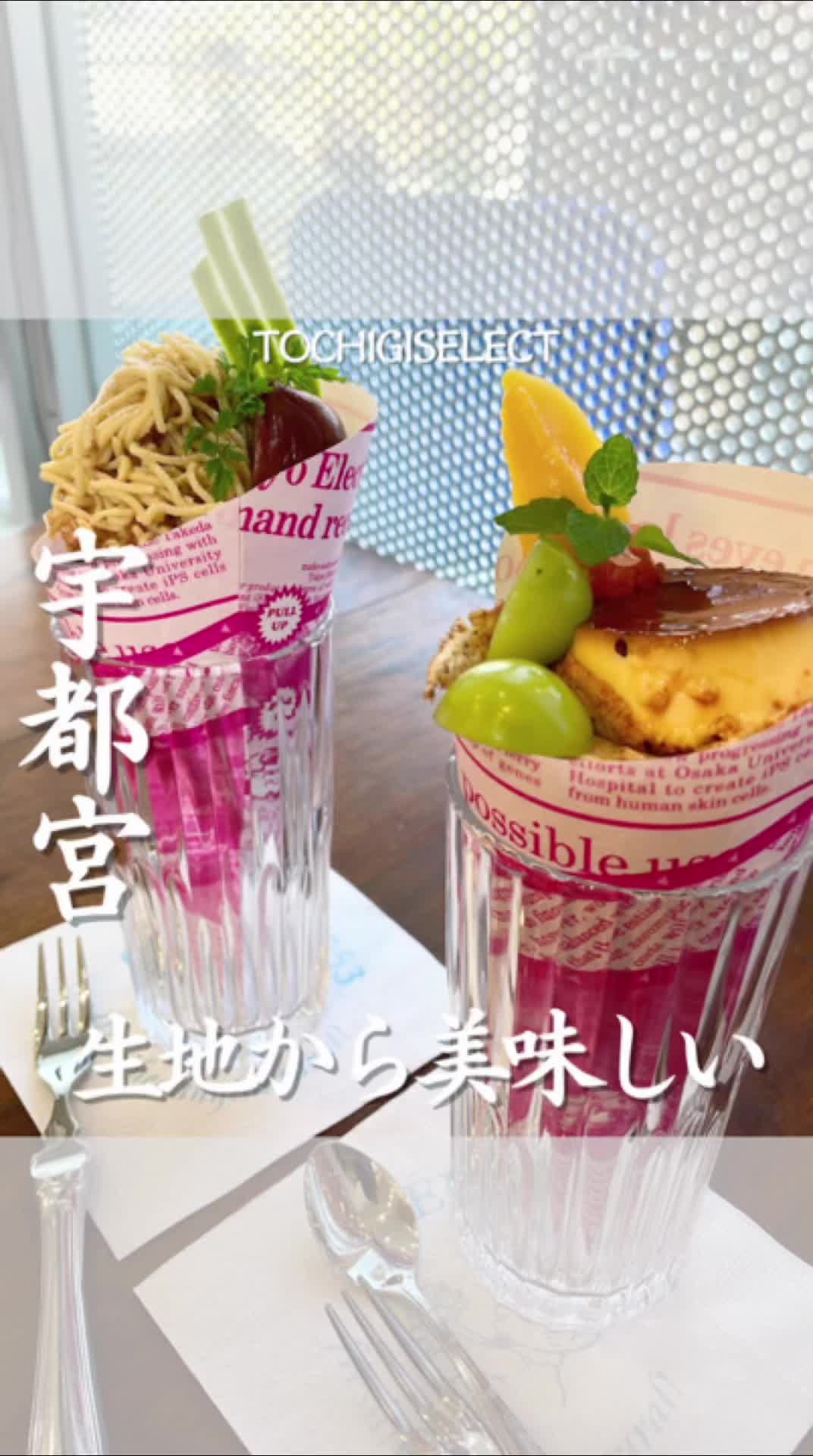 クレープリーナゴミ(CREPERIE 753)