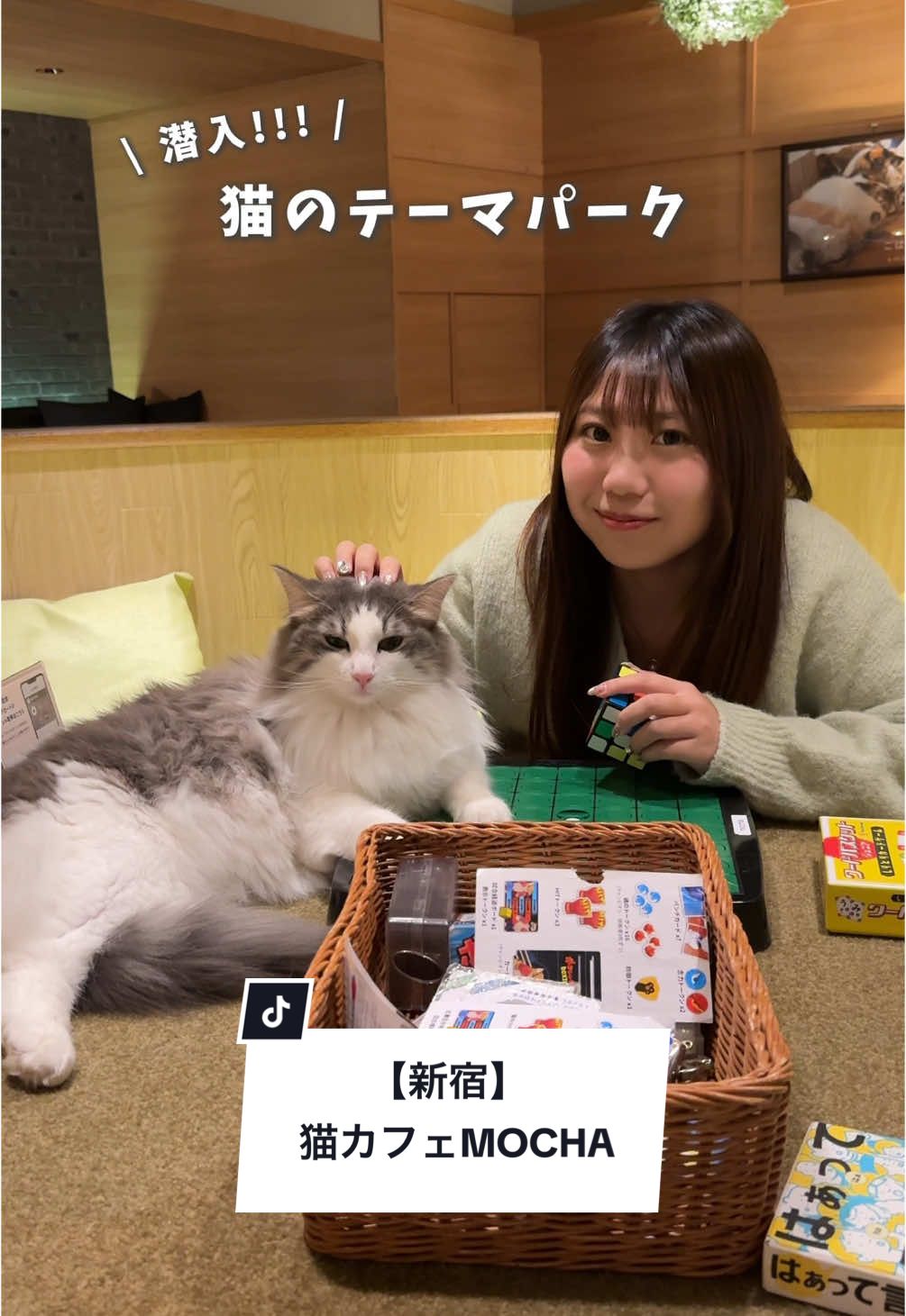 猫カフェモカラウンジ 新宿店 - 予約・店舗情報はこちら | HAMONI