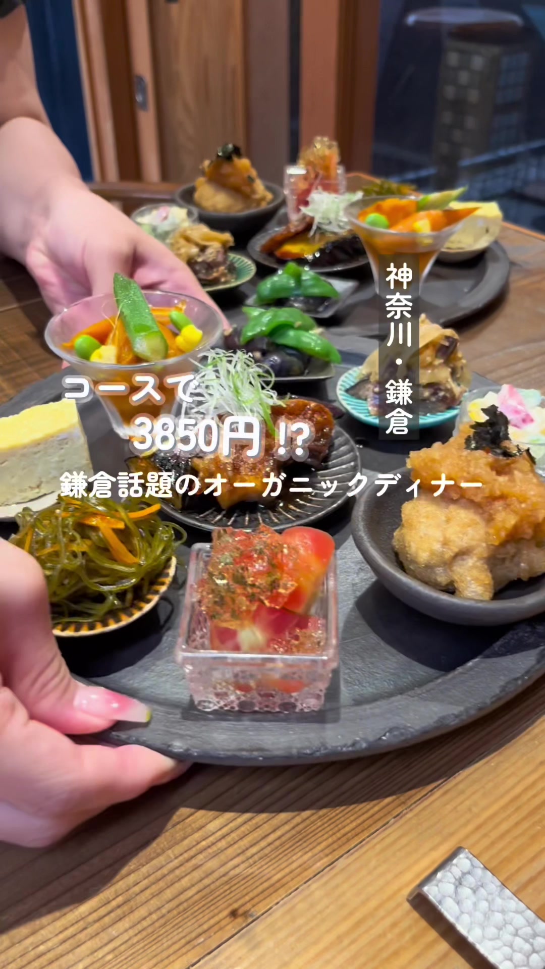Umi鎌倉(ウミカマクラ)