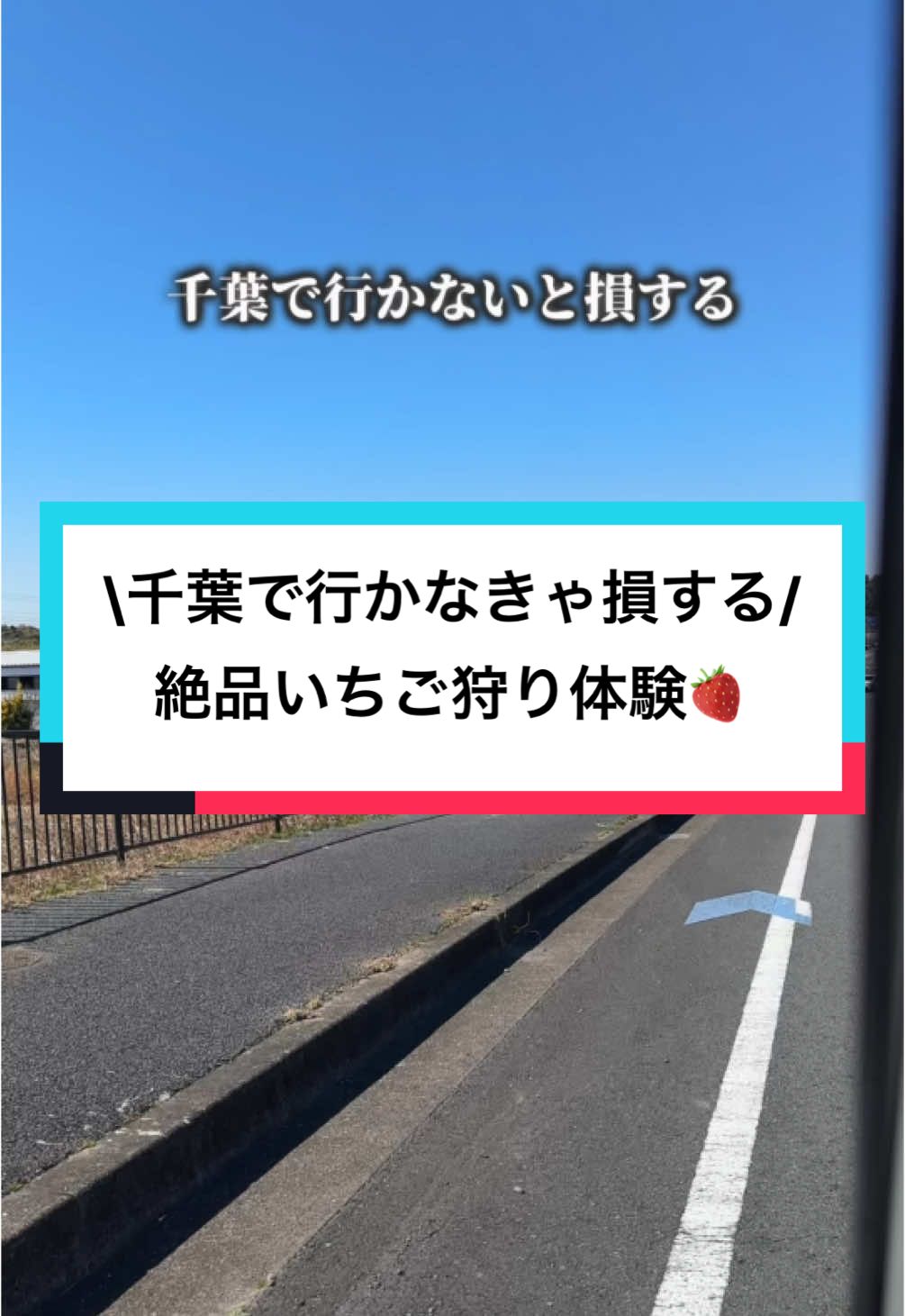 道の駅 とみうら枇杷俱楽部
