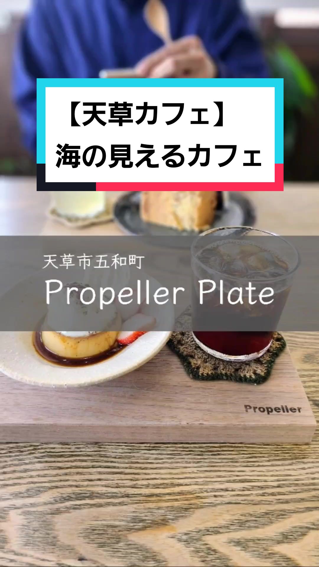 プロペラプレート