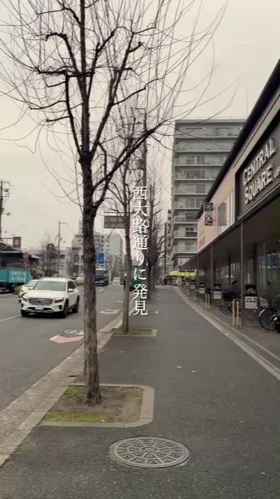 グリルフォグ