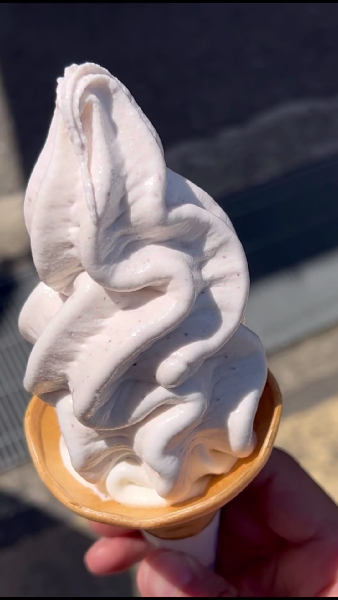 道の駅 ウッディー京北