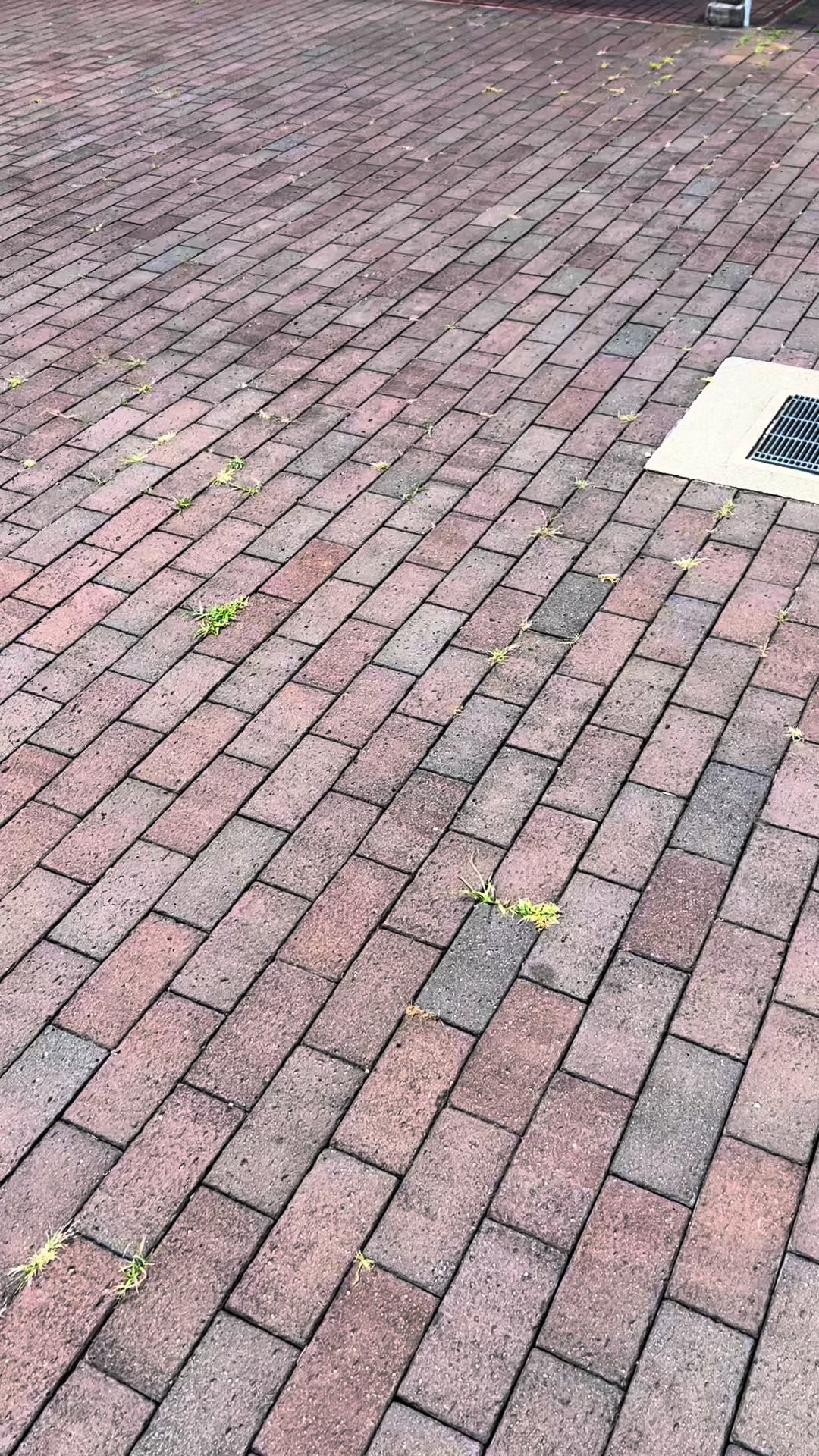 麺飯食堂 てら田や