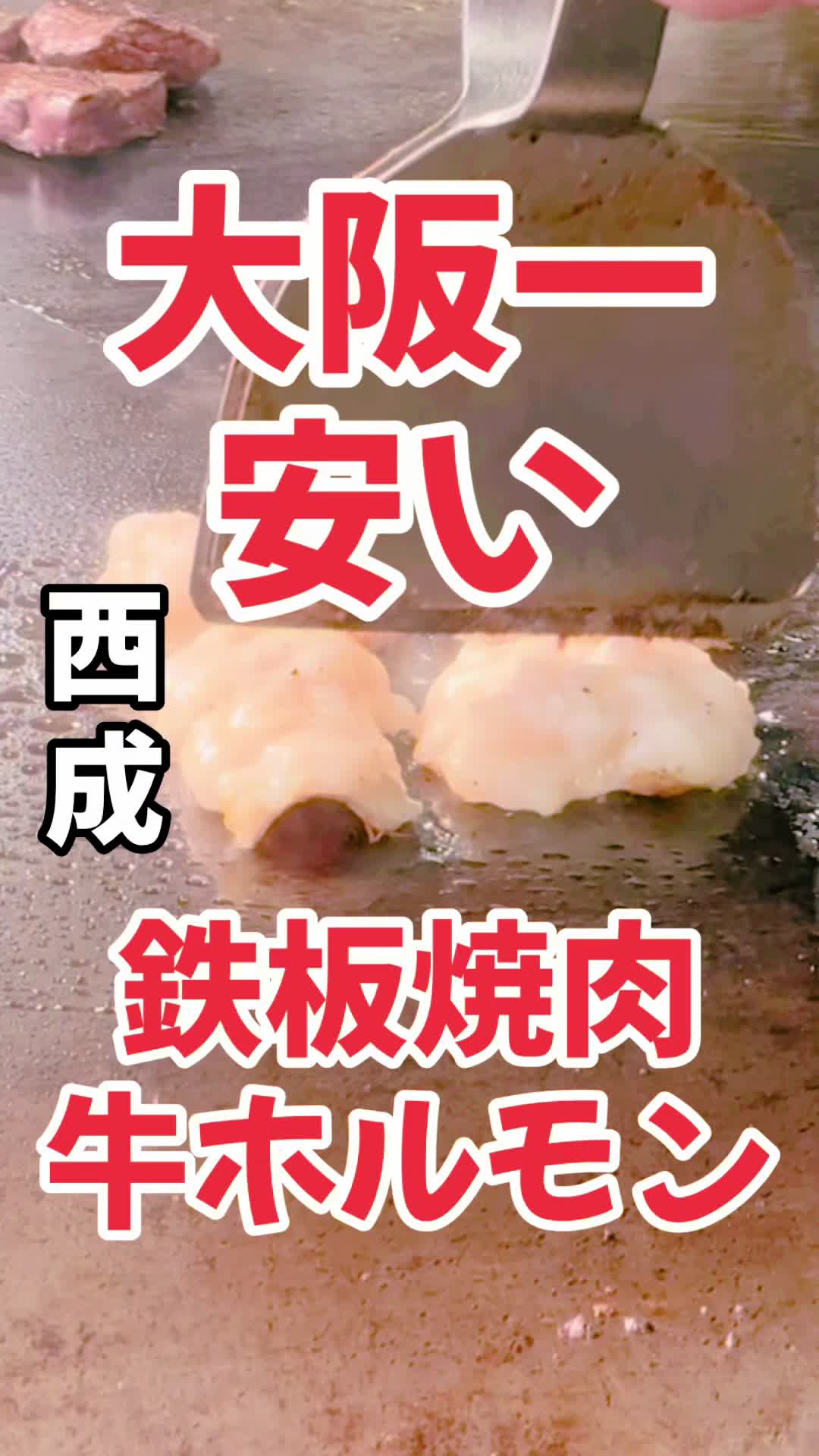 ホルモン 航
