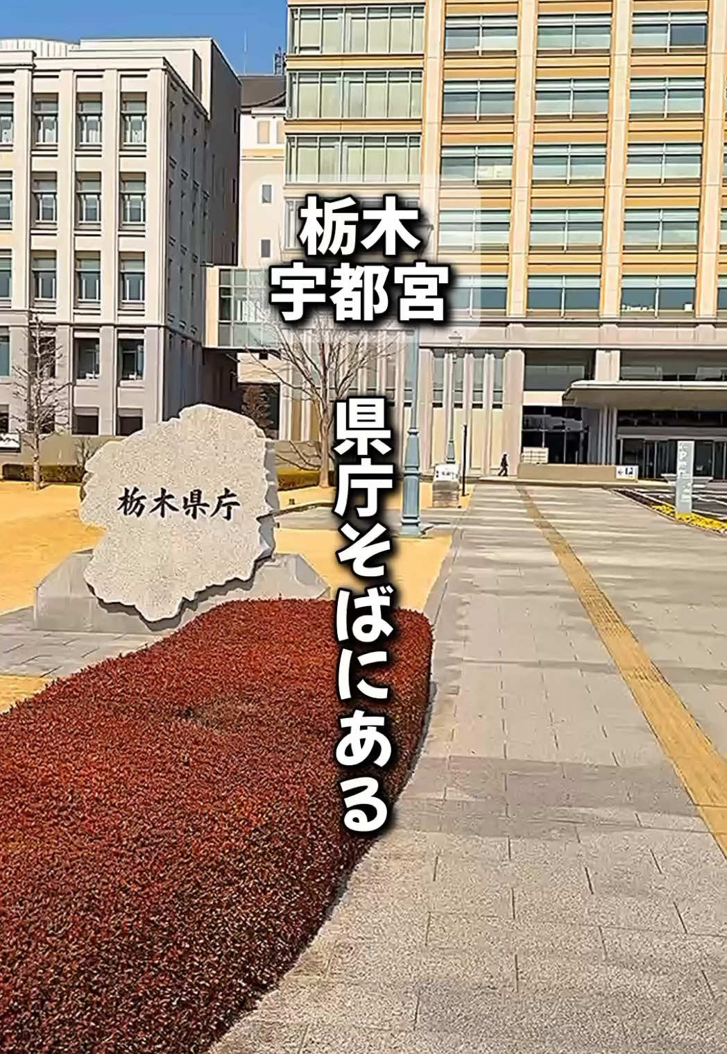 タフドア