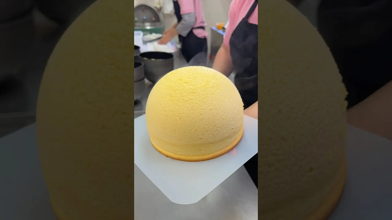 TAMAGO COCCO