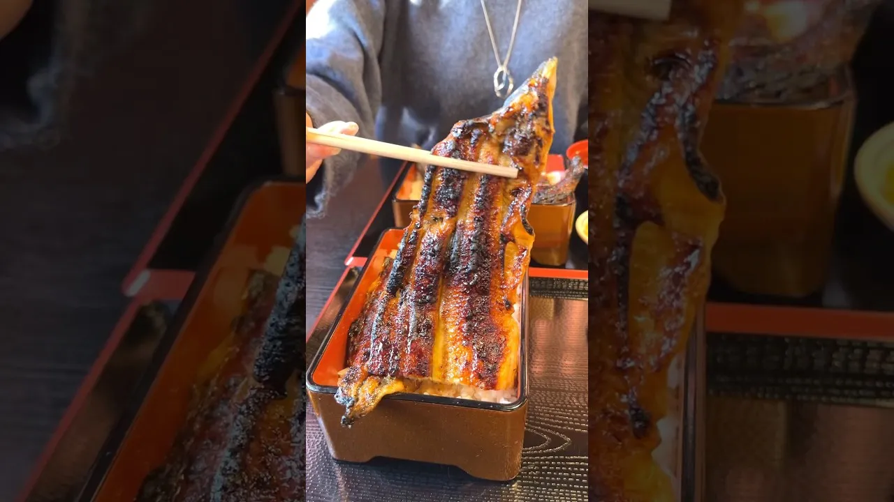 炭焼鰻 土井活鰻 伏見稲荷本店