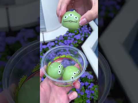 東京ディズニーランド