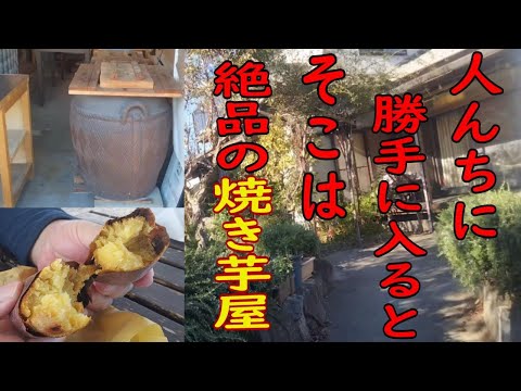 いもっ子