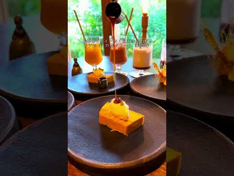 山猫瓶詰研究所