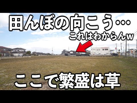 支那そば へいきち二代目