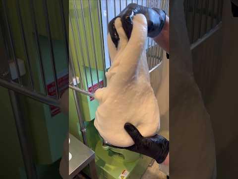 ジャパニーズダイニング匠ya