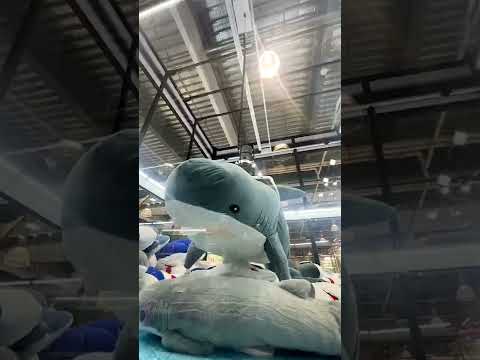 角島 魚心