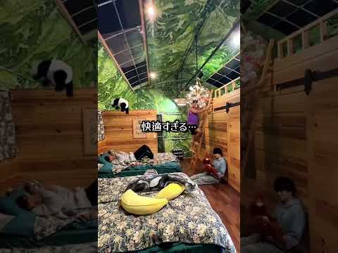 ウッドデザインパーク 岡崎