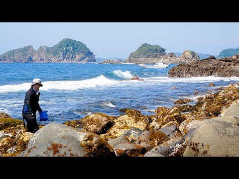 平山旅館
