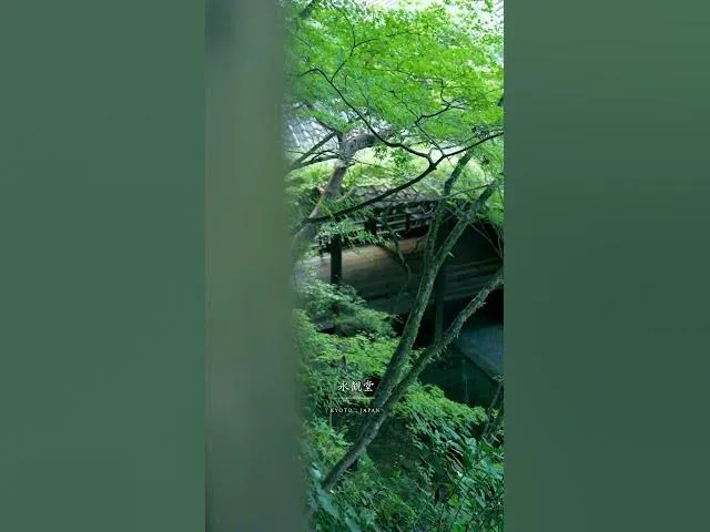 禅林寺 (永観堂)